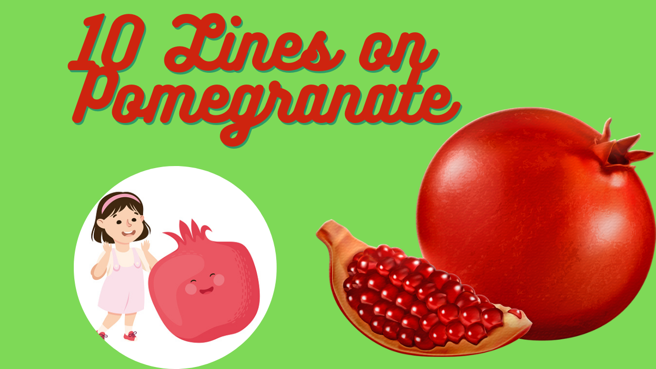 10 Lines on Pomegranate