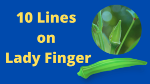 10 lines on lady finger