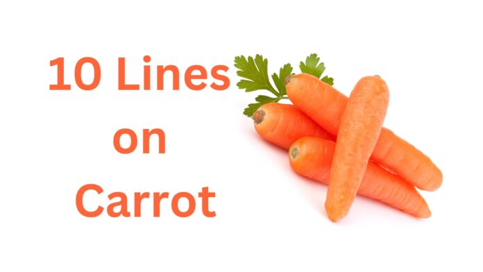 10 Lines on carrot
