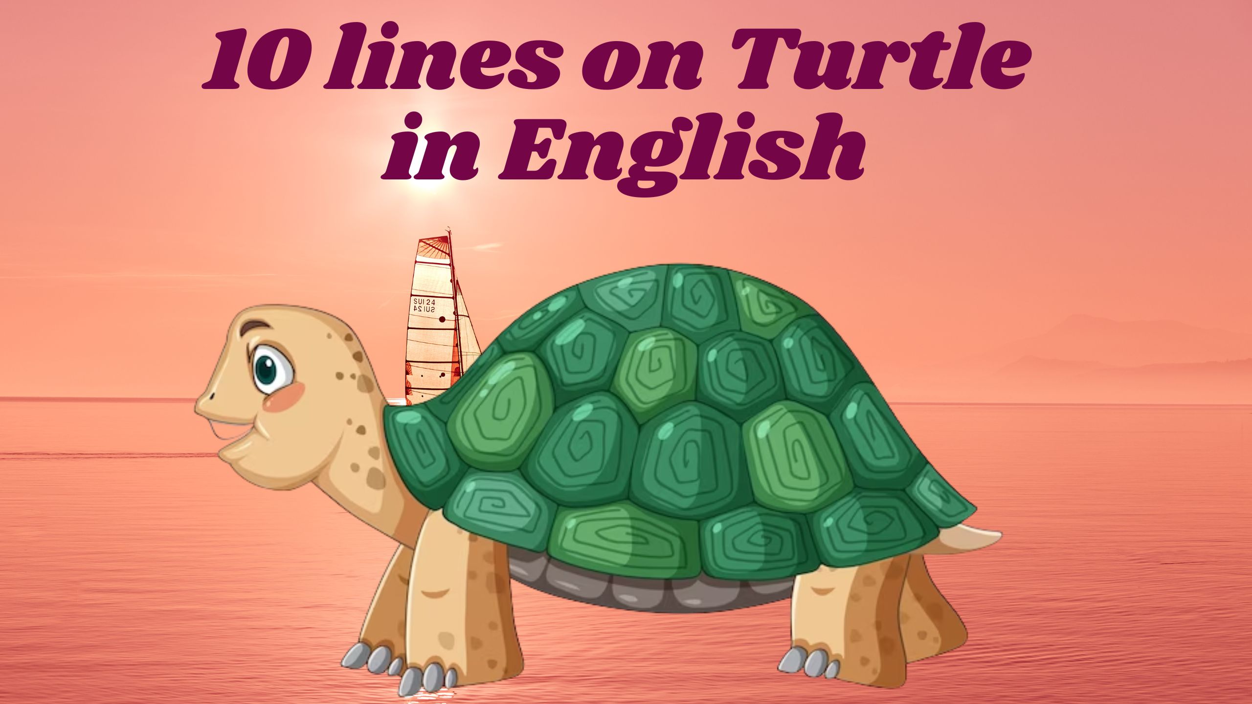 10 lines on Turtle