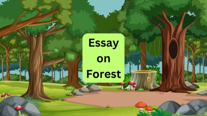 Essay on forest