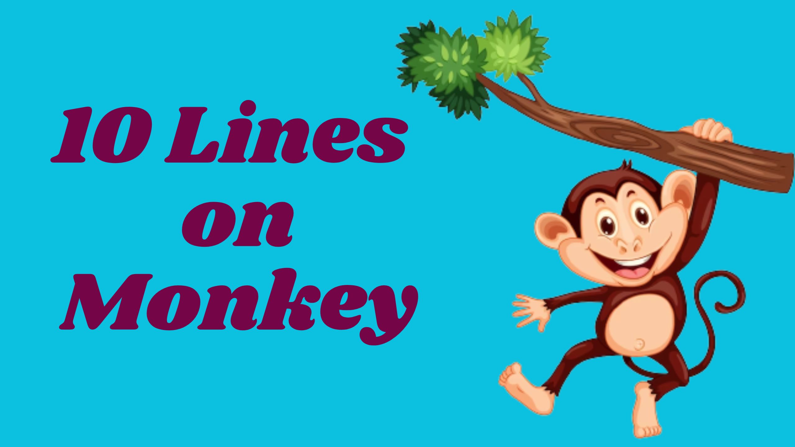 10 Lines on monkey