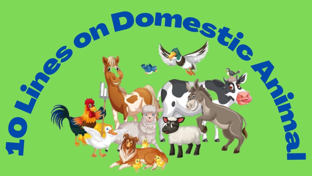 10 Lines on Domestic Animals for Kids - TALK WITH SHIVI