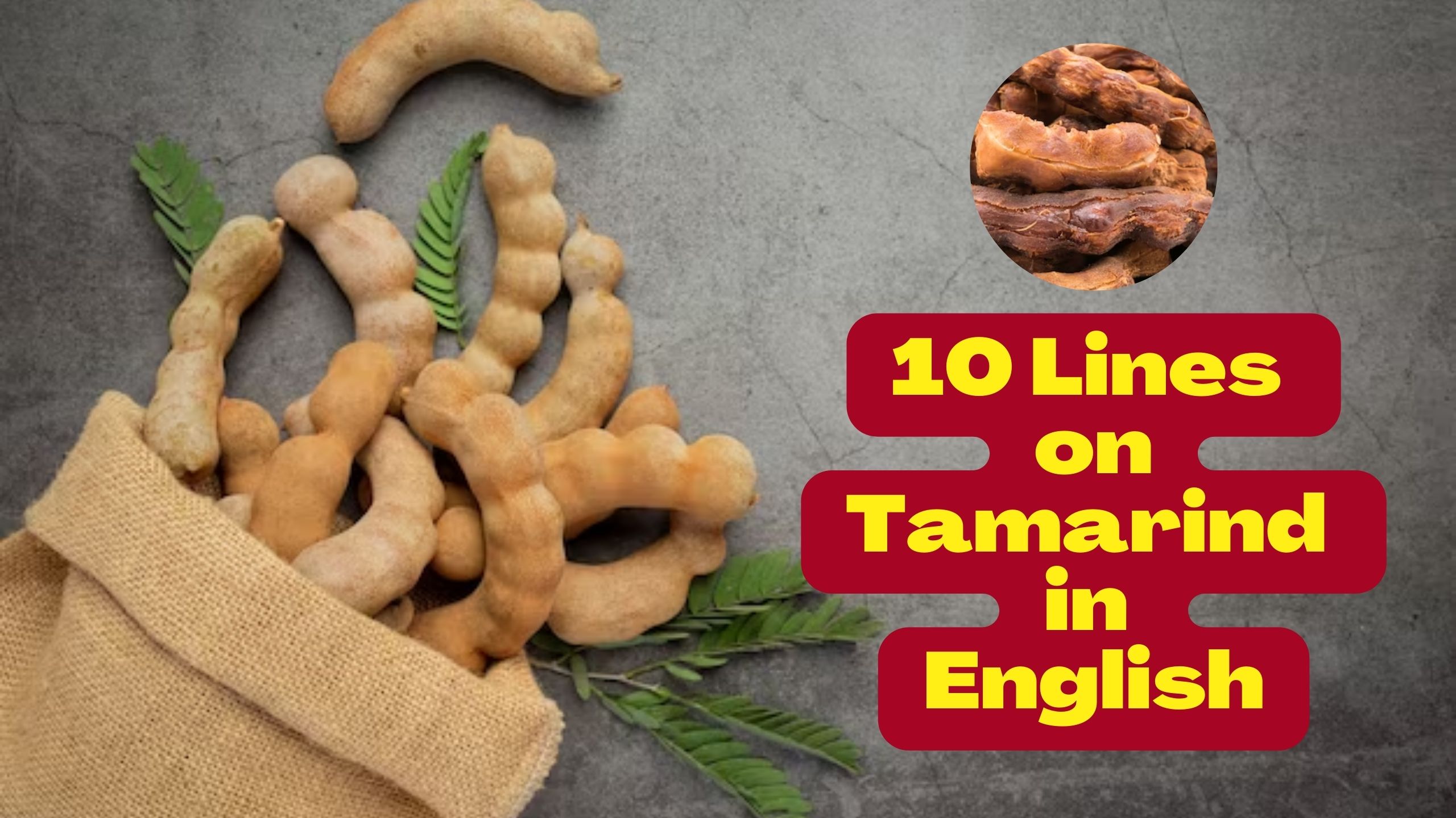 10 Lines on Tamarind in English