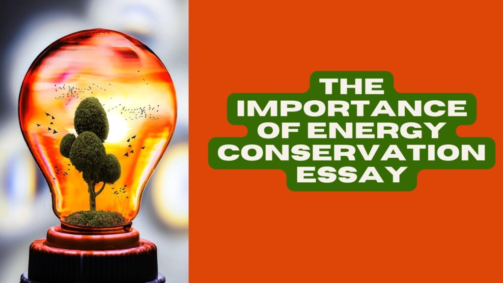 The Importance of Energy Conservation Essay
