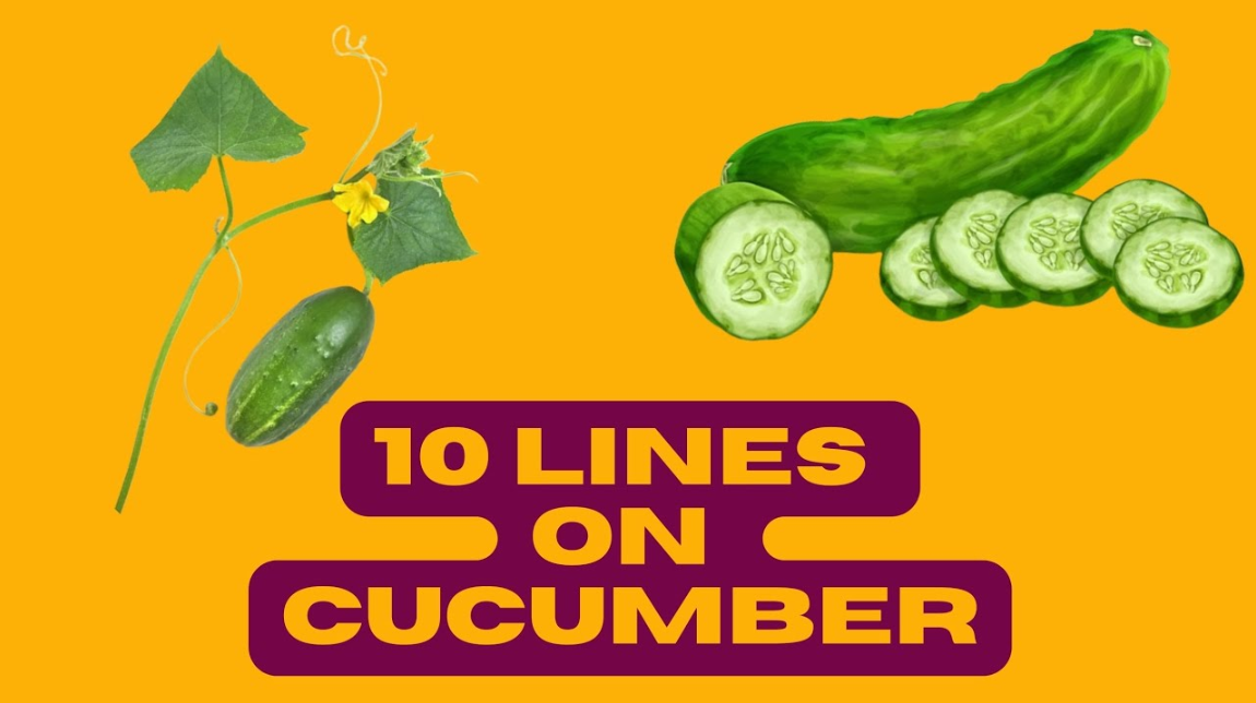 10 Lines on Cucumber