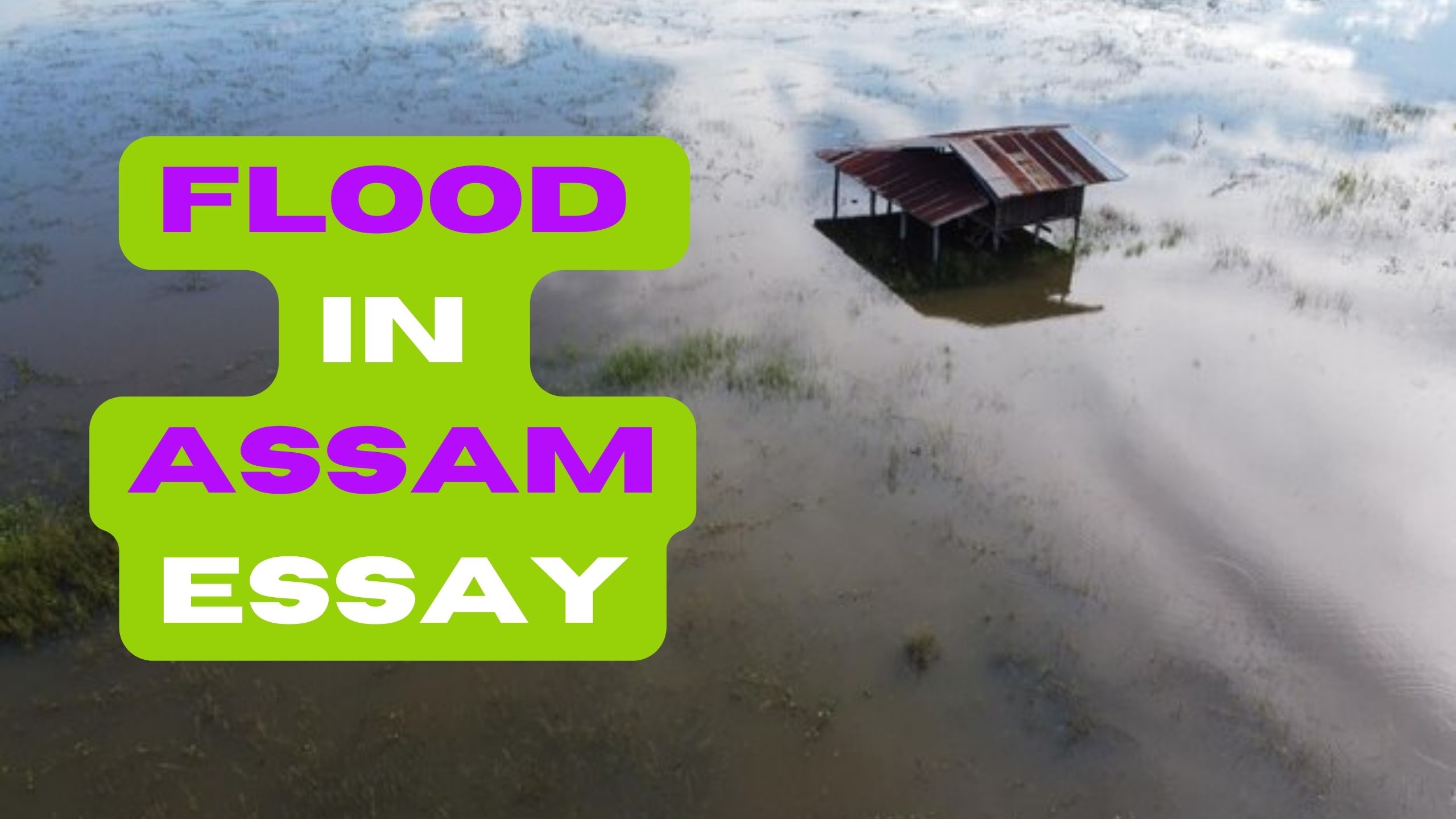 Flood in Assam Essay