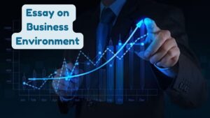 Essay on Business Environment