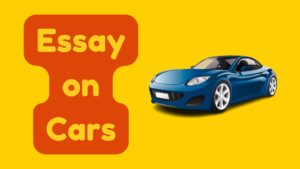 Essay on Cars