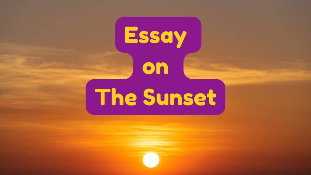 Essay on The Sunset