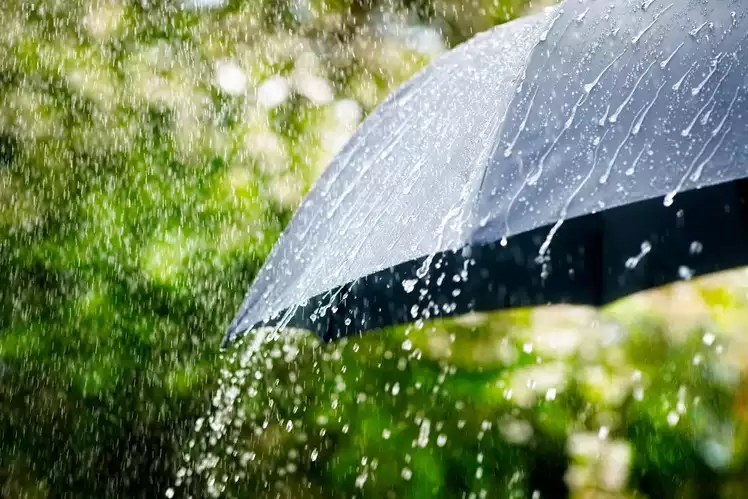 The Impact of Heavy Rainfall: Causes, Effects, and Aftermath